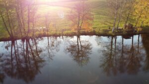 pexels carsten link 2966887 10760915