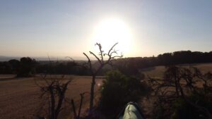 pexels carsten link 2966887 25511163