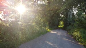 pexels carsten link 2966887 8927354